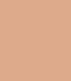 Zayn & Myza Pollution Defense CC Compact SPF 30 (9g)