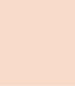 Zayn & Myza Pollution Defense CC Compact SPF 30 (9g)