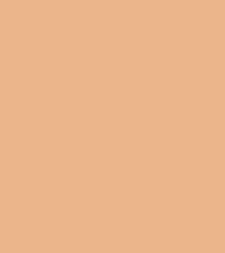 Zayn & Myza Pollution Defense CC Compact SPF 30 (9g)