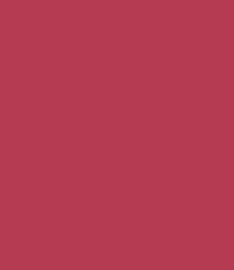 Zayn & Myza Transfer-proof Power Matte Lipstick (3.2g)