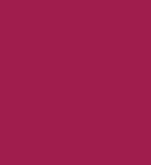 Zayn & Myza Transfer-proof Power Matte Lipstick (3.2g)