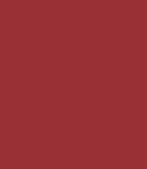 Zayn & Myza Transfer-proof Power Matte Lipstick (3.2g)