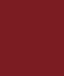 Zayn & Myza Transfer-proof Power Matte Lipstick (3.2g)
