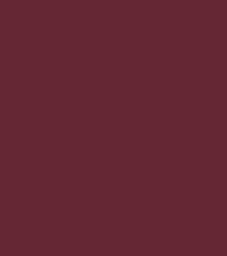 NIOR Red Carpet Lip Color (1.4gm)