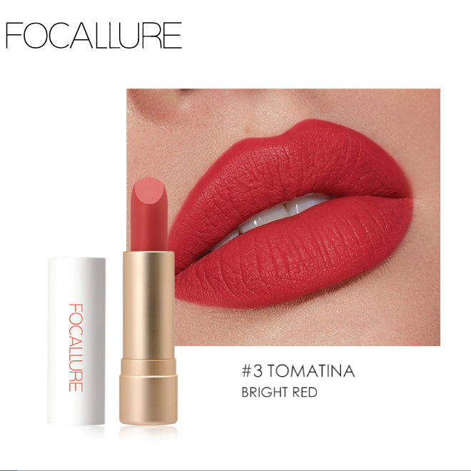 FA 137 - Focallure STAYMAX Powder Matte Lipsticks (3.6gm)