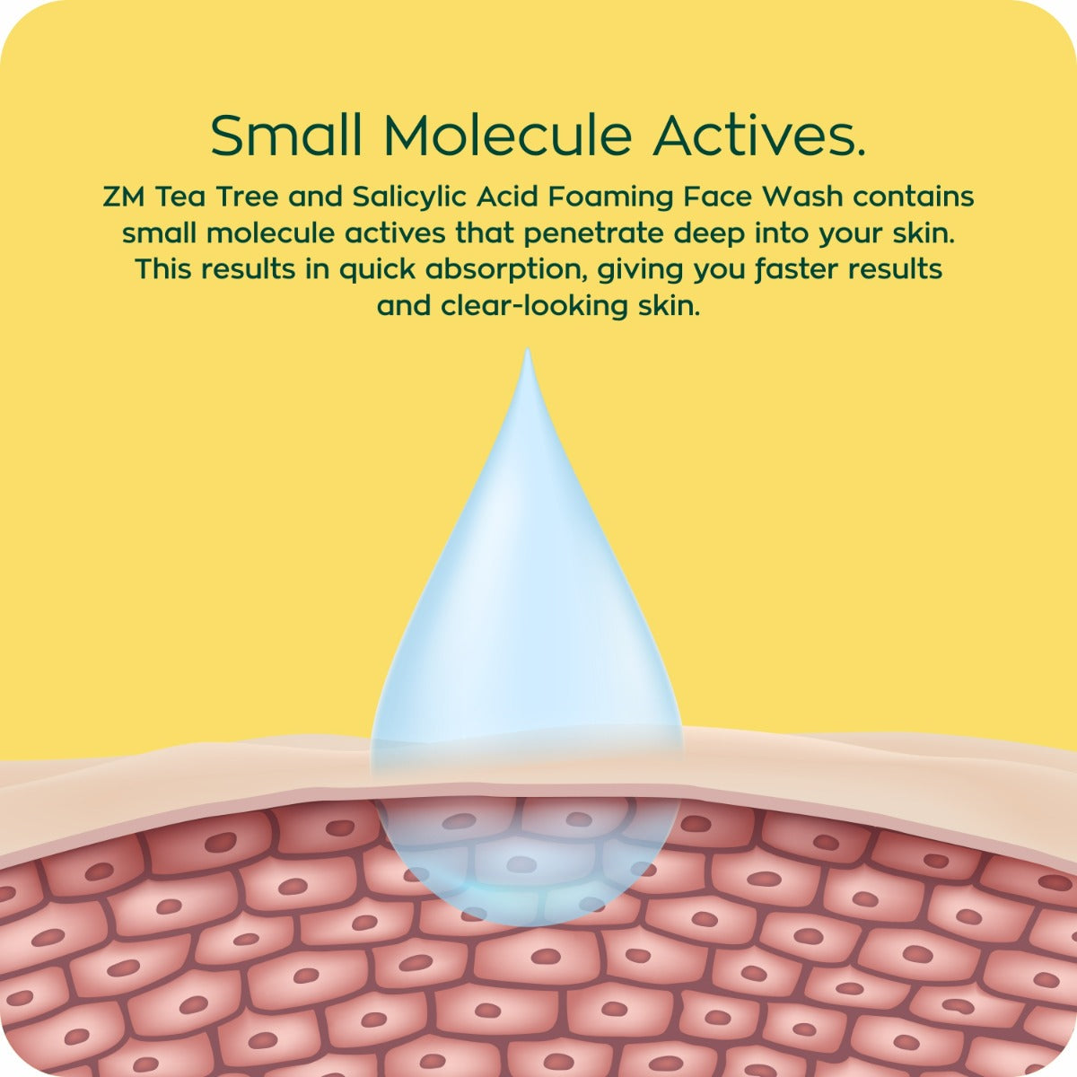 Zayn &amp; Myza Tea Tree and Salicylic Acid Foaming Face Wash for Women (100ml) - BD