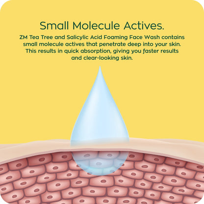 Zayn &amp; Myza Tea Tree and Salicylic Acid Foaming Face Wash for Women (100ml) - BD