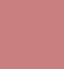 Flormar Color Up Lip Crayon (3.2g)