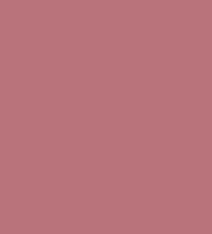 Nicka K True Matte Lip Color (3.5g)
