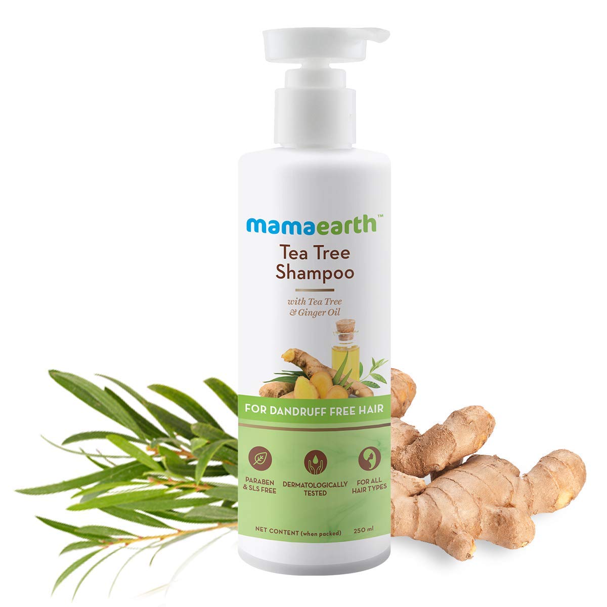 Mamaearth Tea Tree shampoo (250ml)