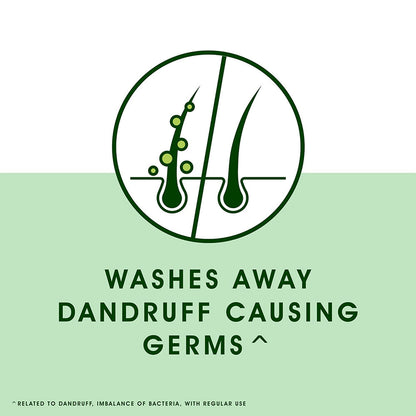 Buy Head & Shoulders Neem Anti Dandruff Shampoo (180ml) Online at Best