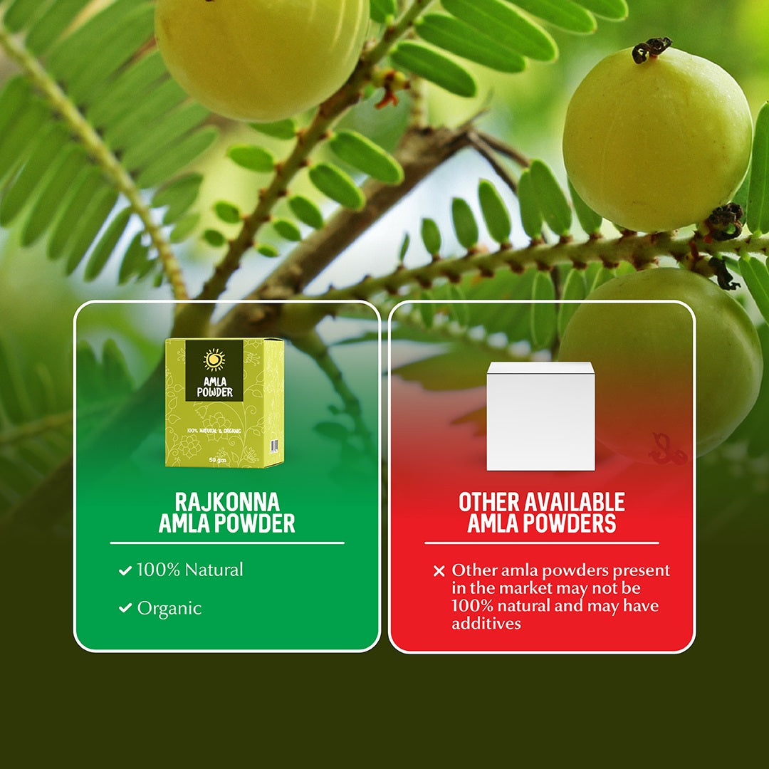 Rajkonna 100% Organic Amla Powder (50gm)