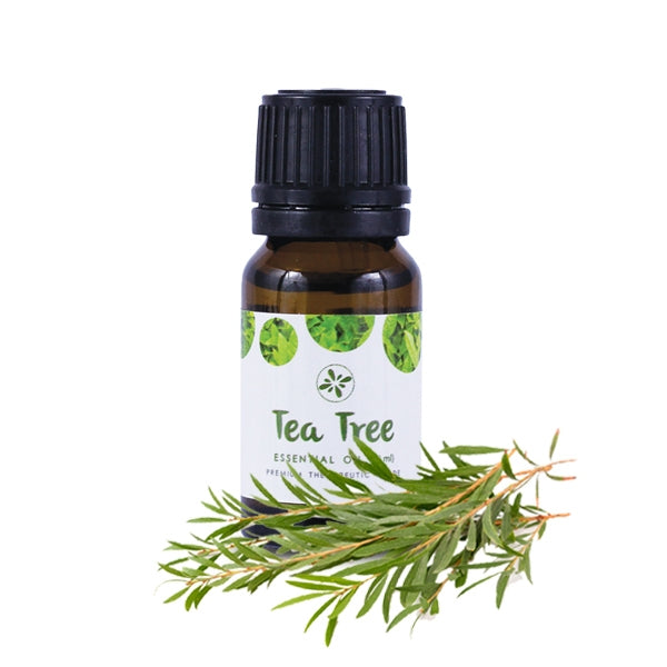 Skin Cafe 100% Natural Essential Oil (10ml) - Tea Tree